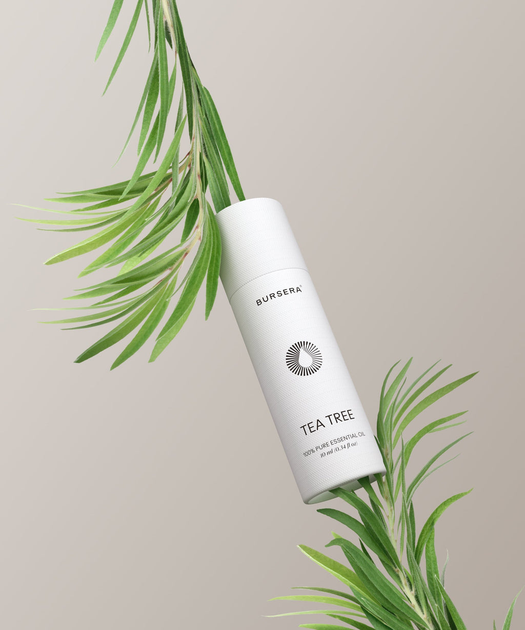 Organic Tea Tree Essential Oil-2