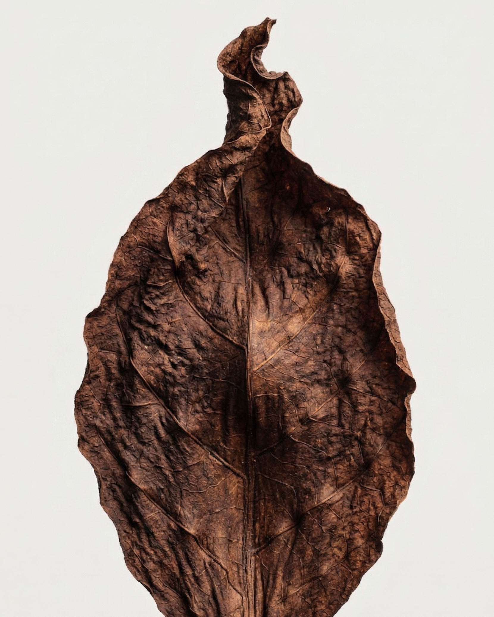 M2SKIN Incense-1