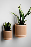 Hanging STREAM Wall Planter-0