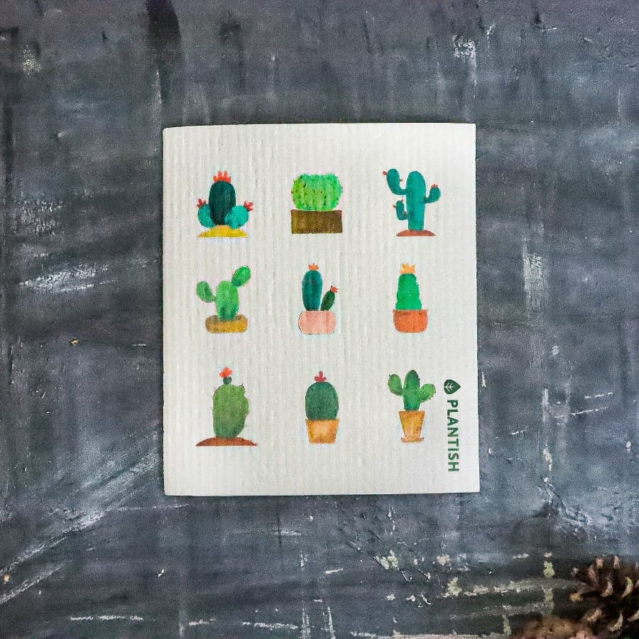 Cactus Swedish Sponge Cloth 3-Pack